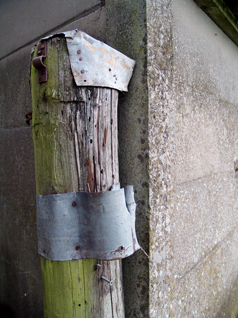 00095 kippenhokken  (2)